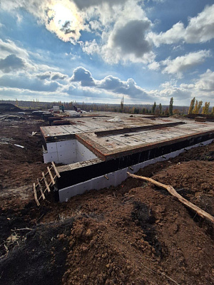 Село Репное