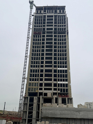 г. Грозный, Улица В.В. Путина