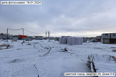 Цветной город