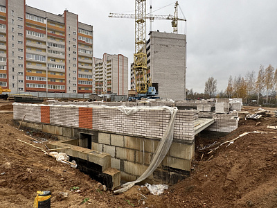 Деревня Новосельцы