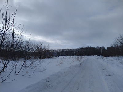 Цветной бульвар