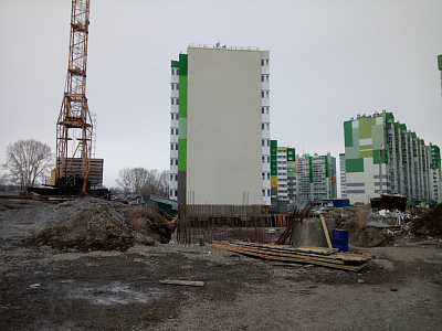 Березовая роща