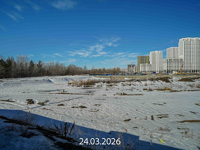 Айвазовский ЖР Айвазовский