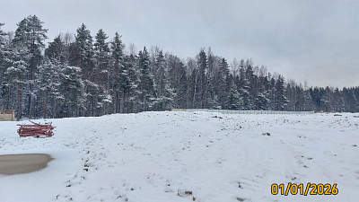 ЛО, Городской поселок Янино-1