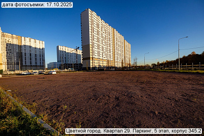 Цветной город