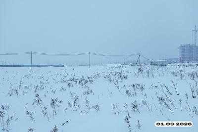 Жукова парк