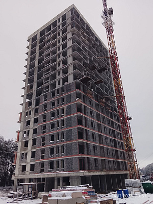 Норвежский лес