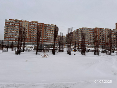 Мирапорт