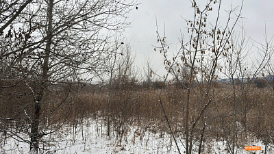 Жилой комплекс 