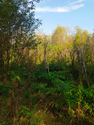 село С Новолуговое
