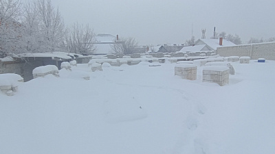 г. Ульяновск, ул Бакинская