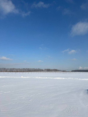 Миниполис Дивное