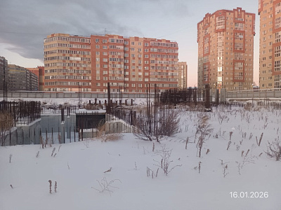 Мирапорт