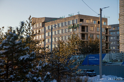 Экосити