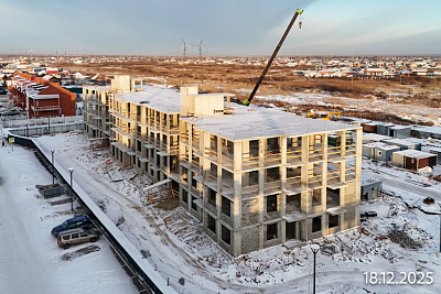 Смородина