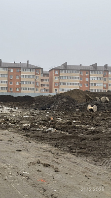 Поселок Новая Адыгея, Улица Бжедугская