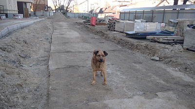 ЖИЛОЙ ДОМ БАЛТИЙСКИЙ