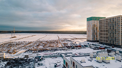 ЛО, Деревня Новосаратовка