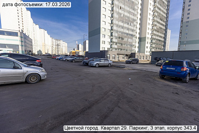 Цветной город