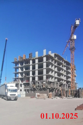 Крылья Качи