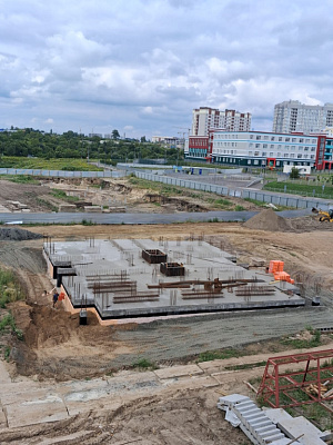 г. Брянск, Улица Романа Брянского