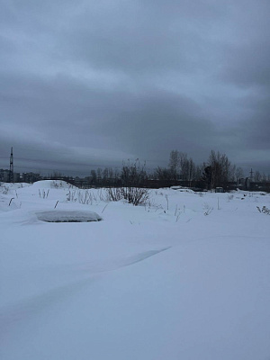 г. Новосибирск