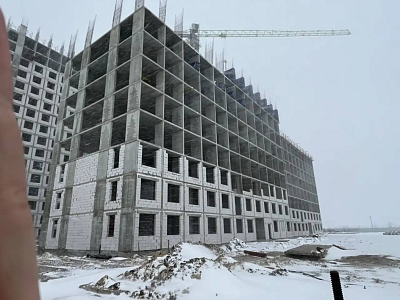 Темп