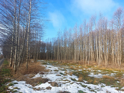 Комплекс апартаментов OTRADA resort