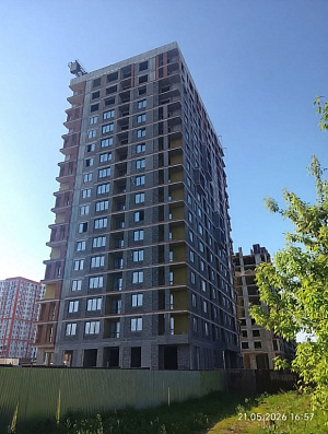 Норвежский лес