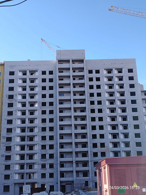 г. Череповец