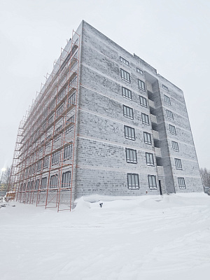 г. Губкинский