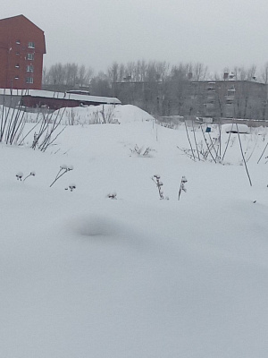 г. Новосибирск, ул Приморская