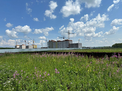 Село Миловка