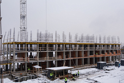 Брусника в Новоселье