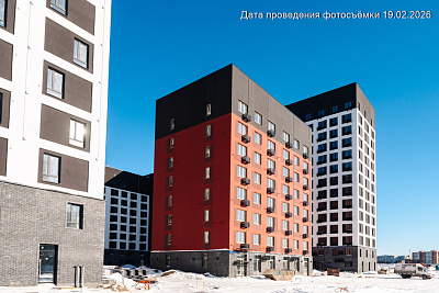 Дружеский