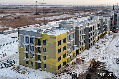 Смородина