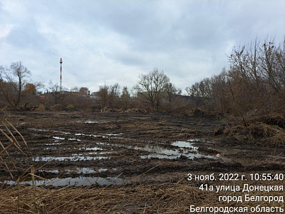 г. Белгород, ул Донецкая