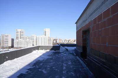 Брусника в Академическом