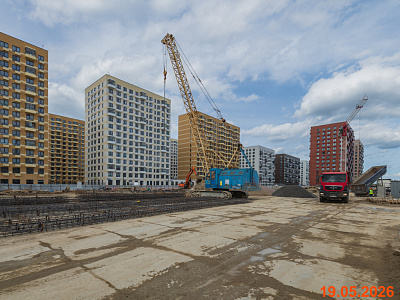 Янинский лес