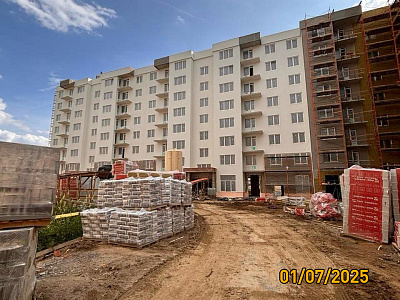 Ясно.Янино, ЛЕС