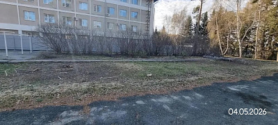 Кордон
