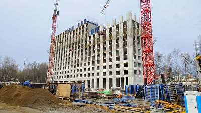 КУРКИНО15