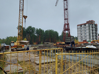 Поселок городского типа Барсово, Улица Сосновый Бор
