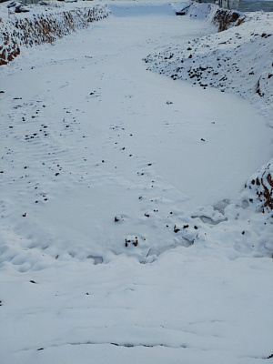 Эко-квартал Ботаника