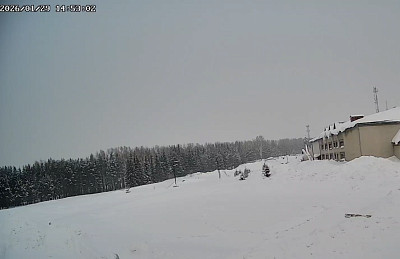 Ёлки город в лесу (Корпус 4)