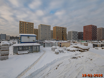 Янинский лес