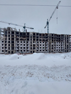МО, Поселок городского типа Радумля, район ММС-2