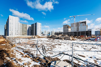 Парголово
