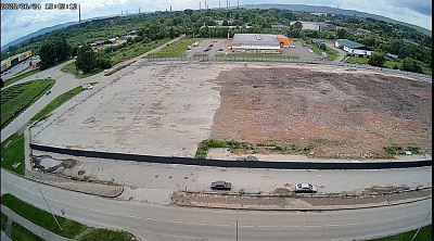 Флора