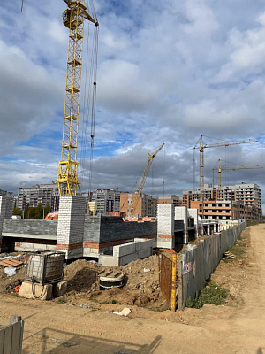 Осановские зори